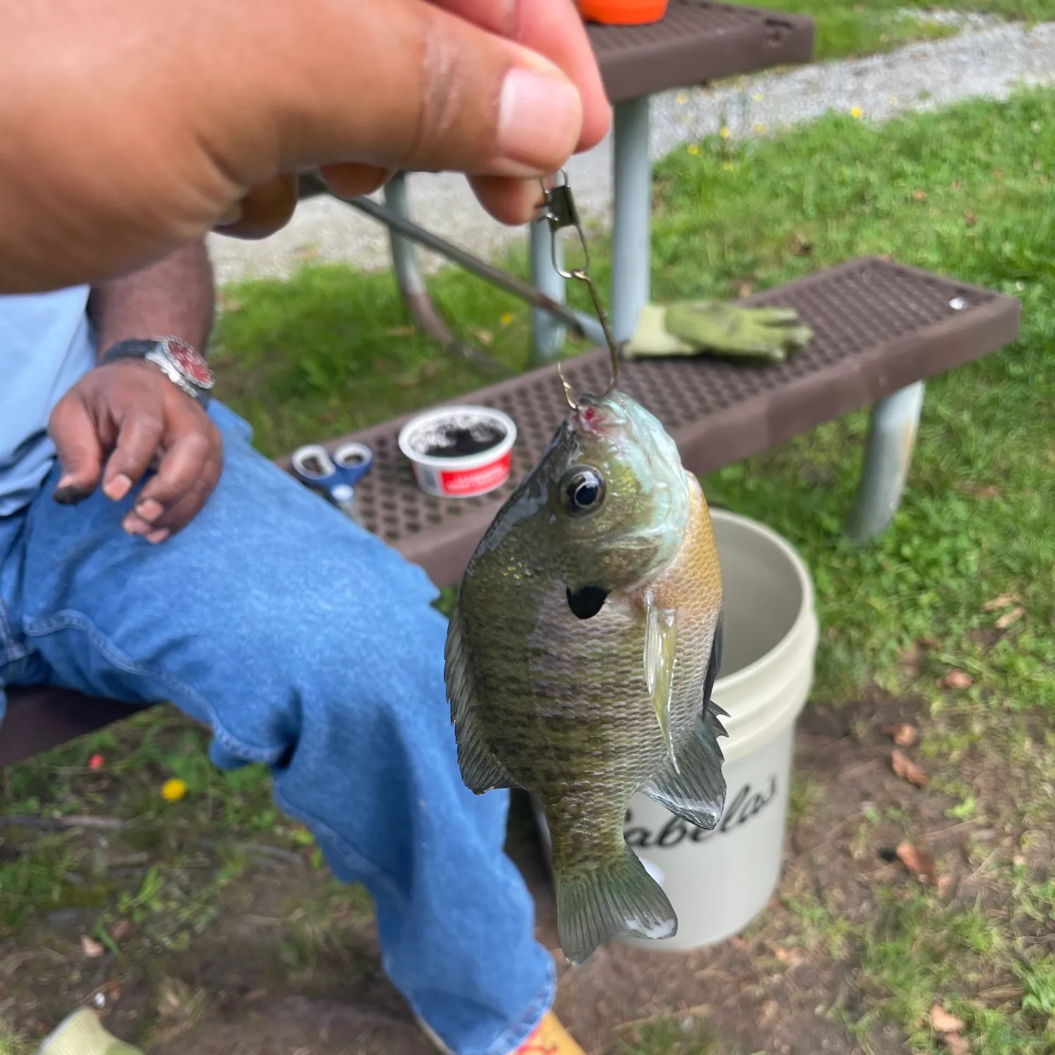 catch