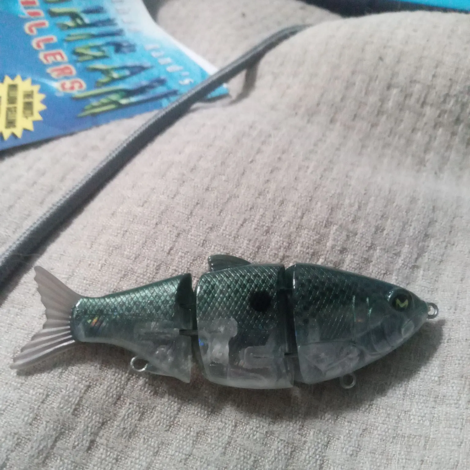The most recent Common thresher catches on Fishbrain