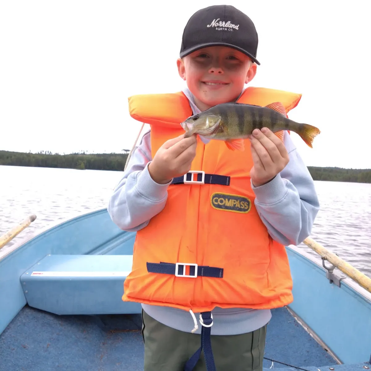 European perch caught on Fishbrain
