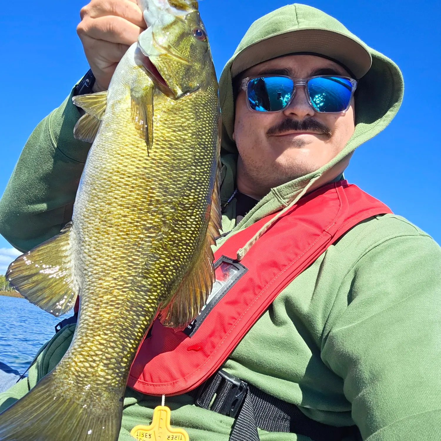 Smallmouth bass caught on Fishbrain