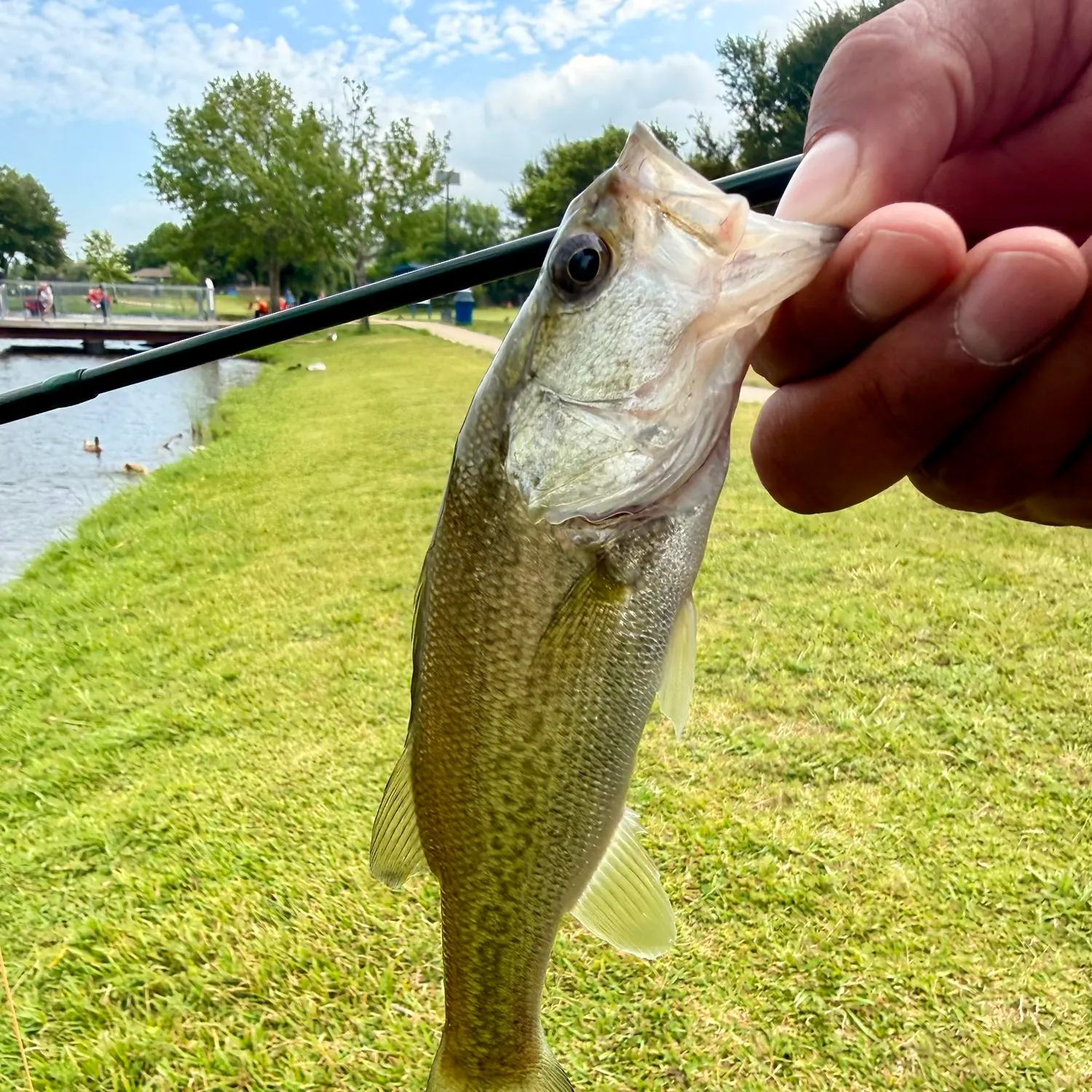 catch