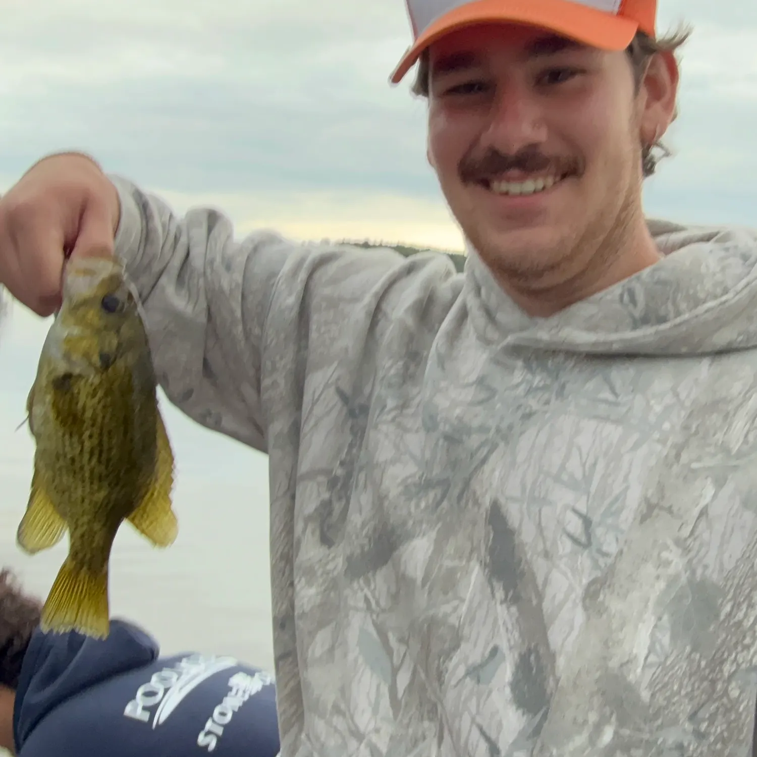 Rock bass caught on Fishbrain