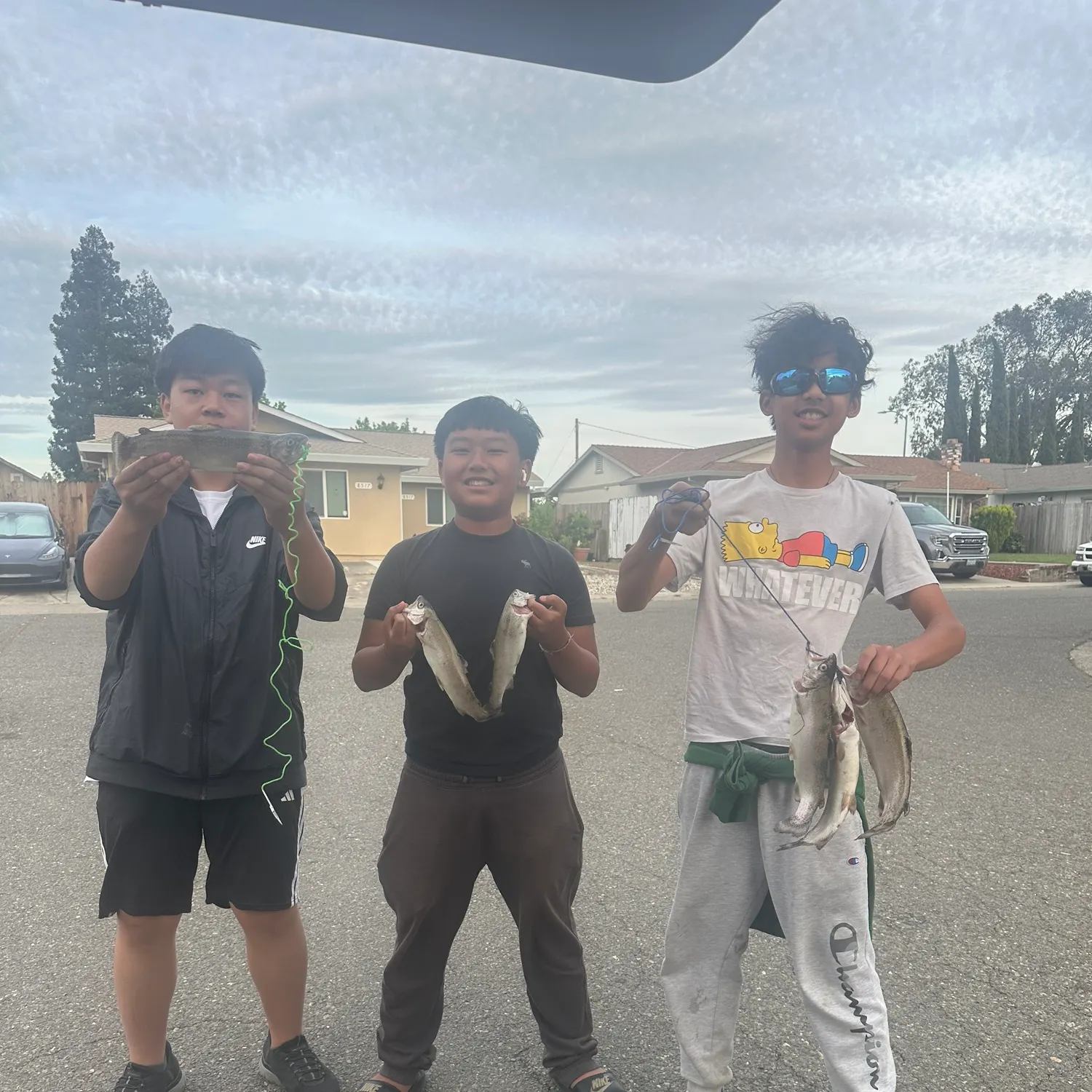 recently logged catches