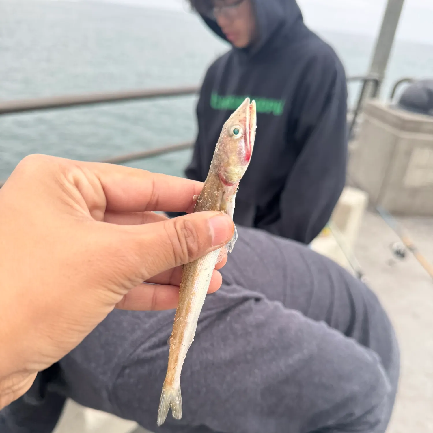 most liked catch image