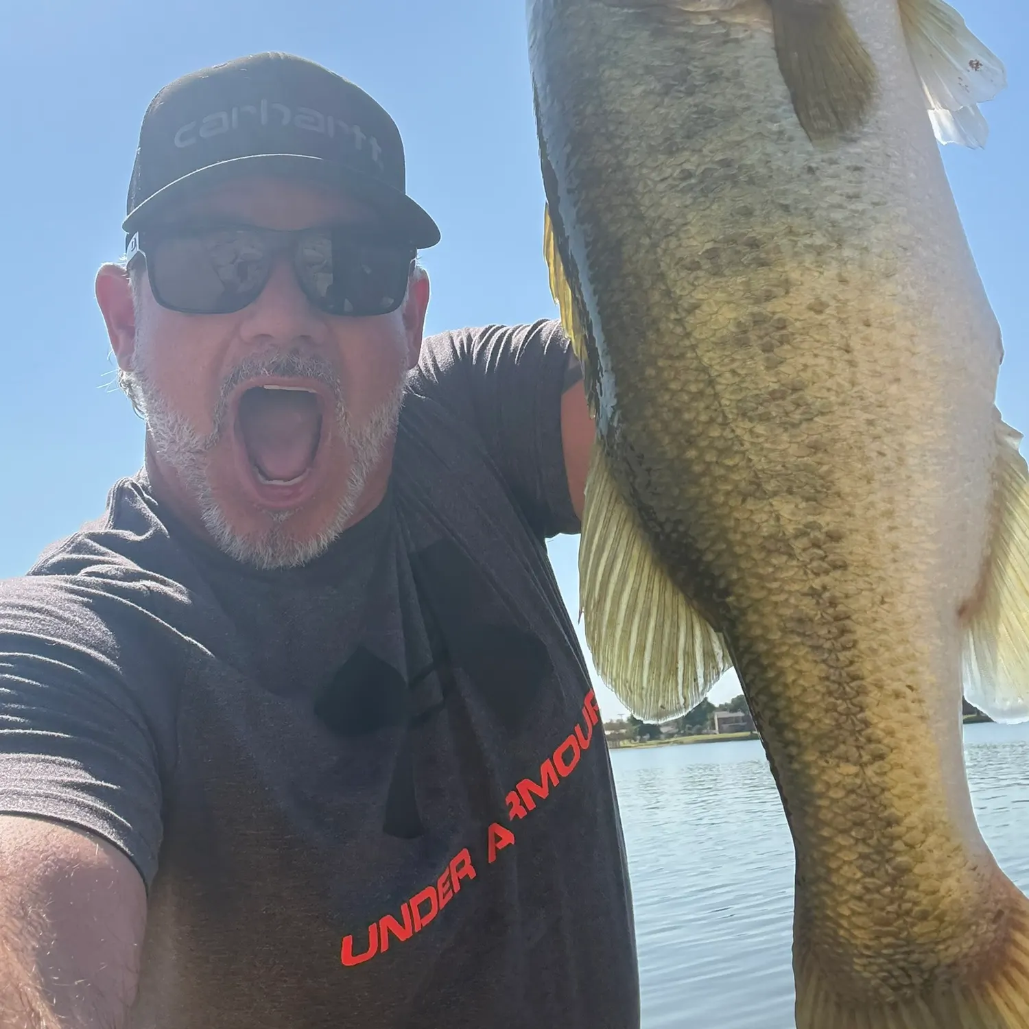 Largemouth bass caught on Fishbrain