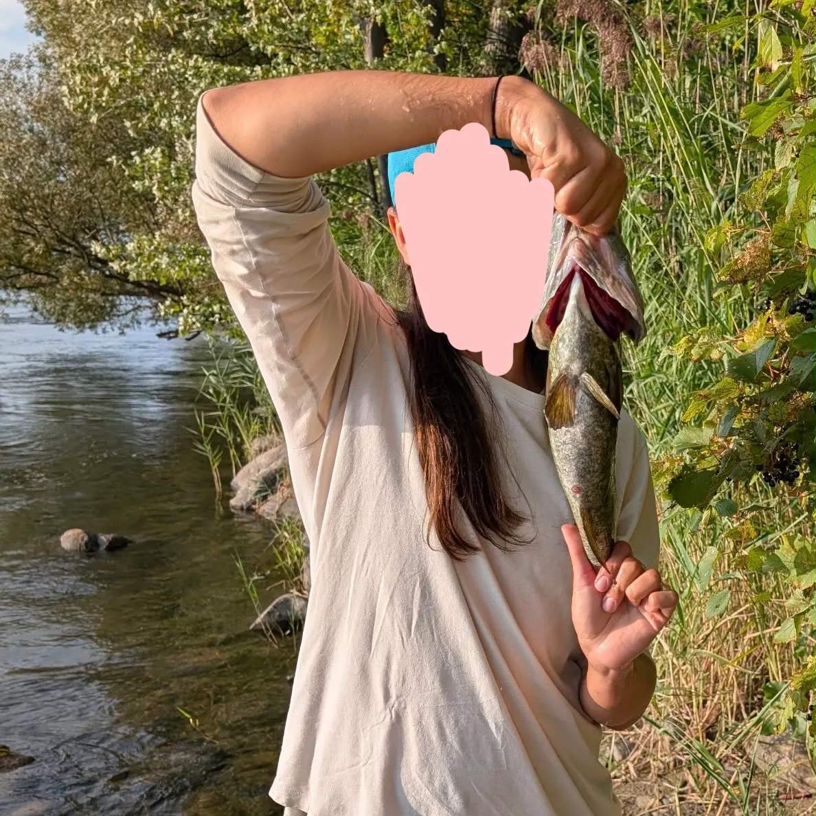 Smallmouth bass caught on Fishbrain