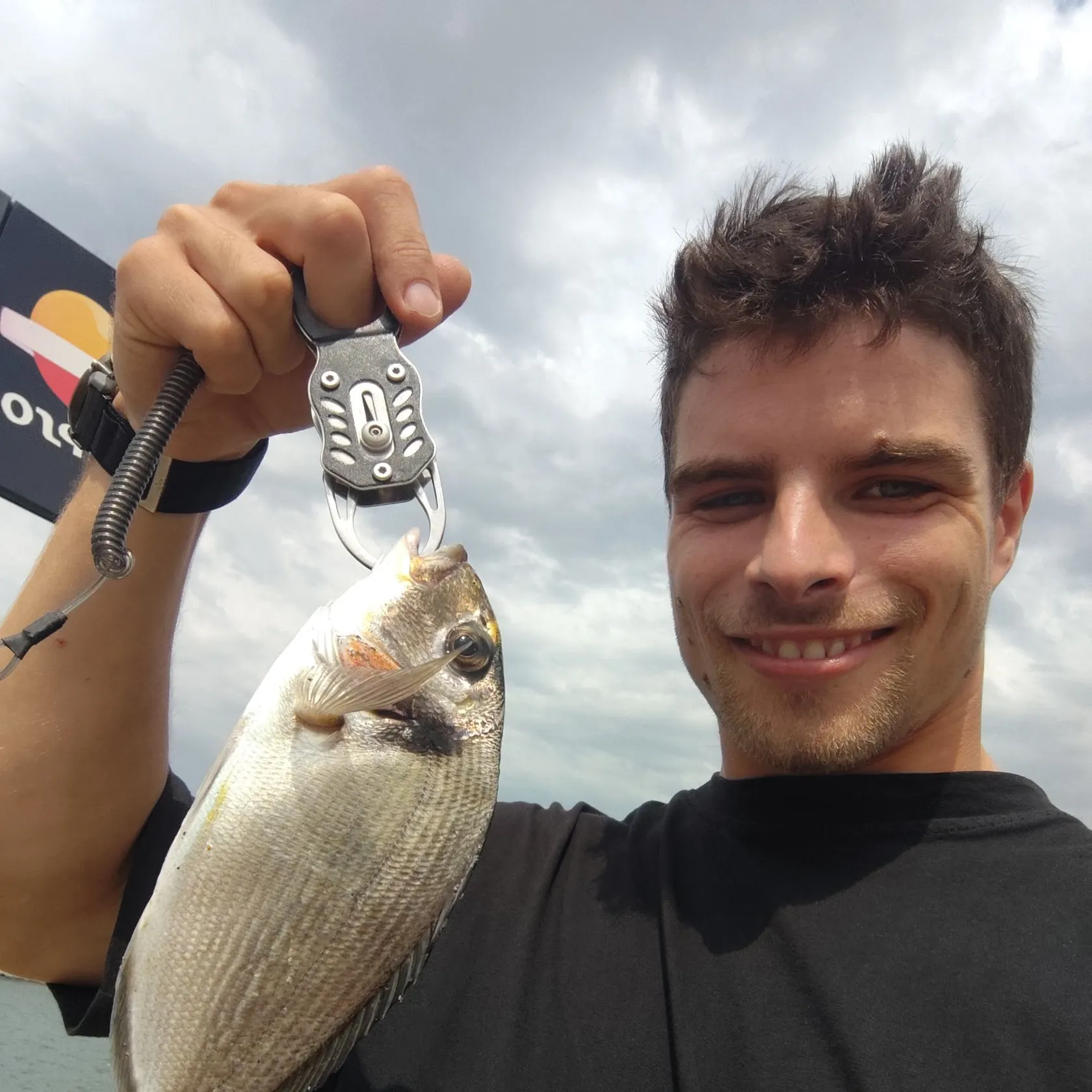 The most recent Gilthead seabream catches on Fishbrain