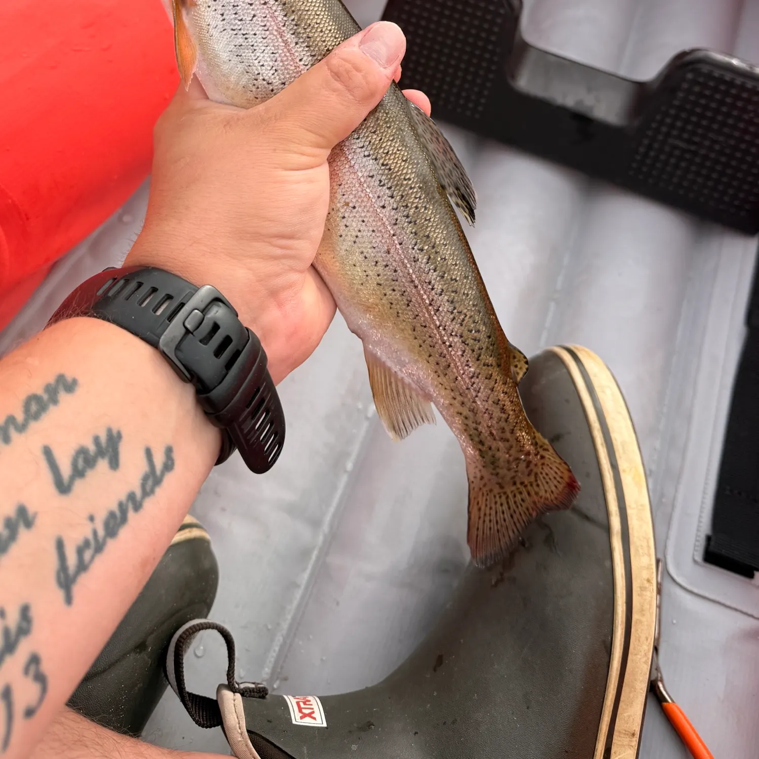 recently logged catches