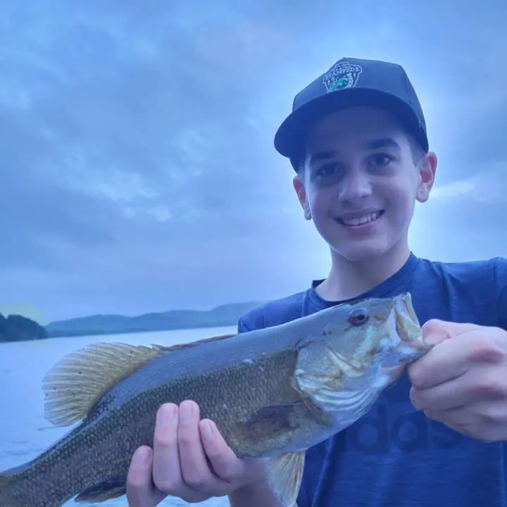 Smallmouth bass caught on Fishbrain