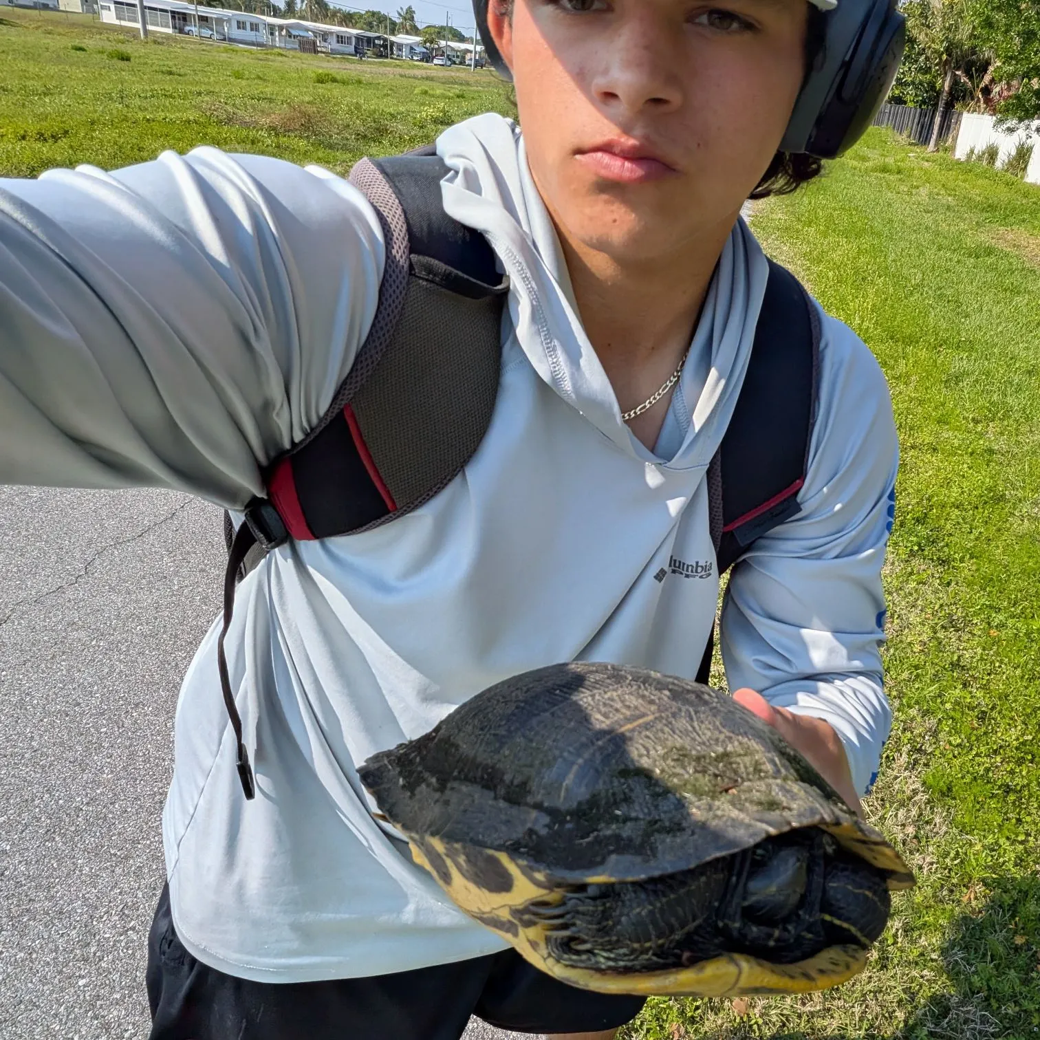 The most recent Great white shark catches on Fishbrain