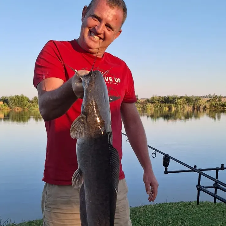 most liked catch image