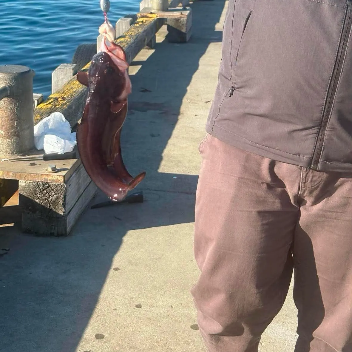 Fish caught on Fishbrain