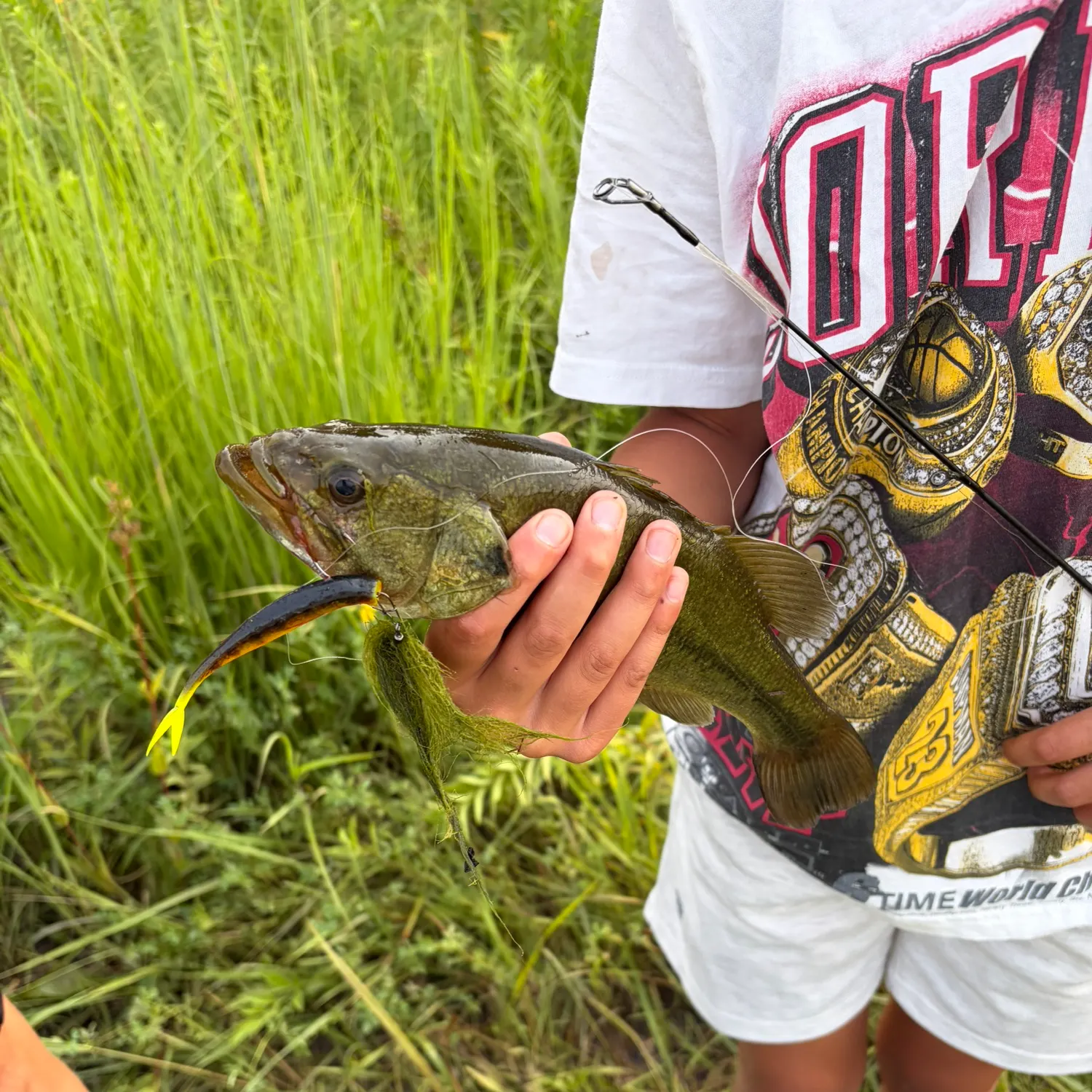 Spotted bass caught on Fishbrain