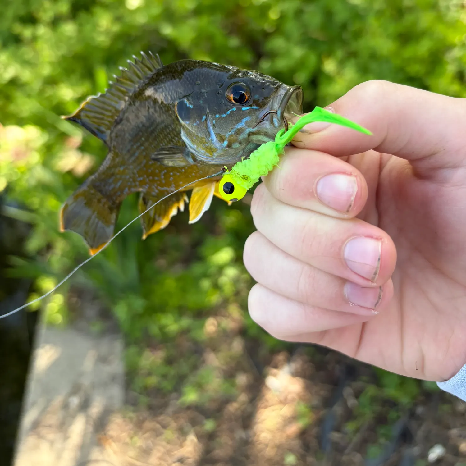 catch