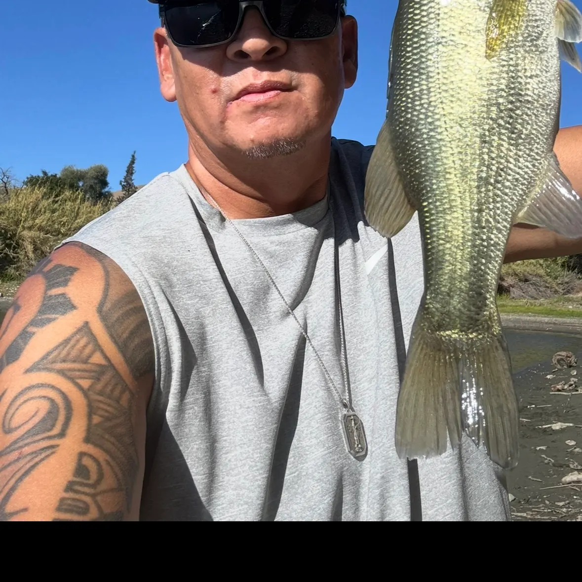 Largemouth bass caught on Fishbrain