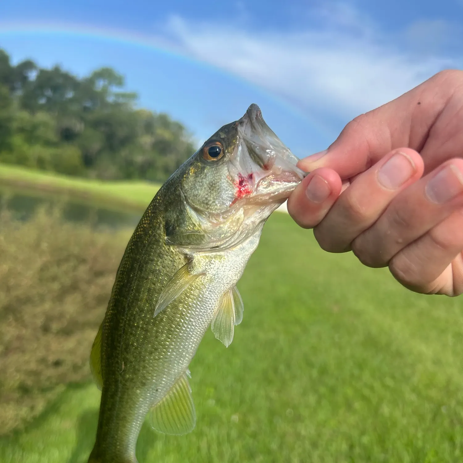 Fish caught on Fishbrain