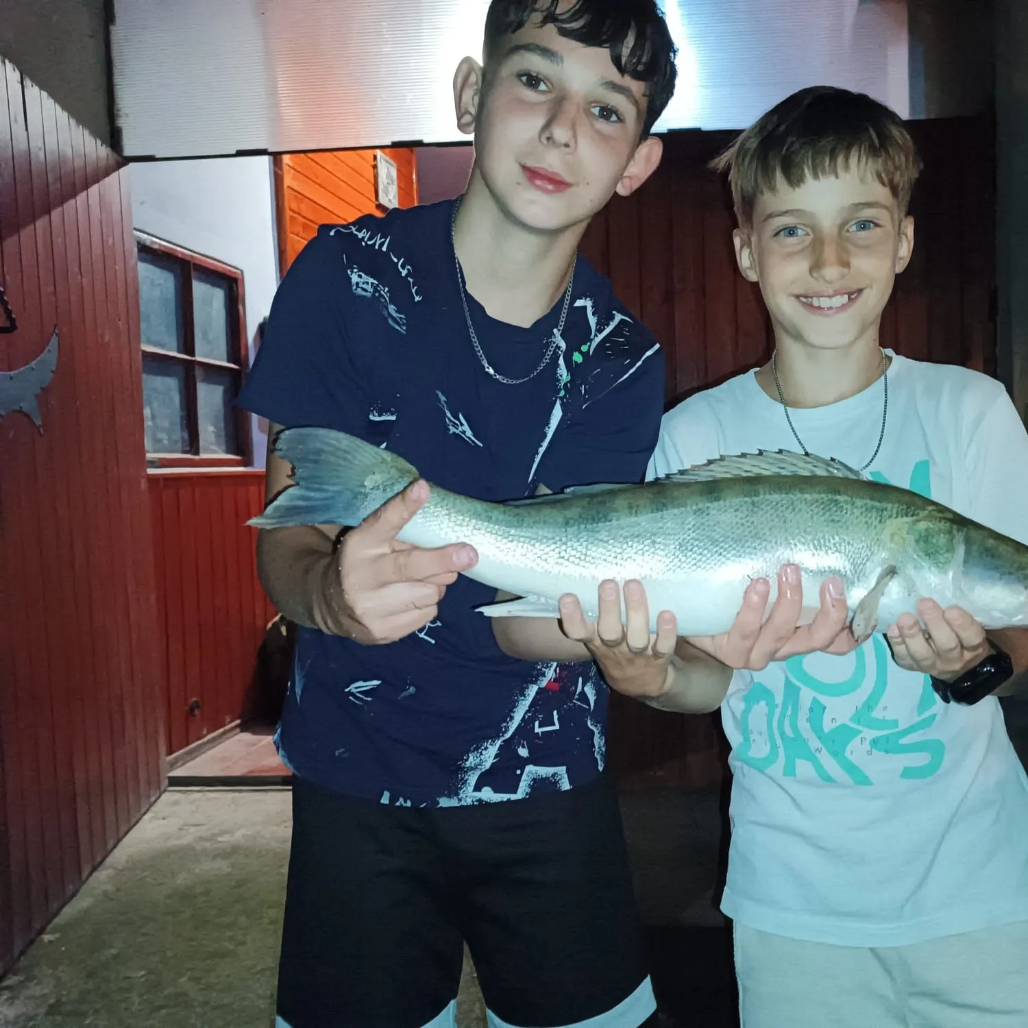 Zander caught on Fishbrain