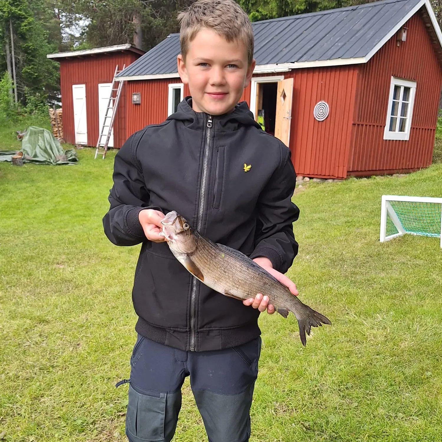 The most recent European grayling catches on Fishbrain