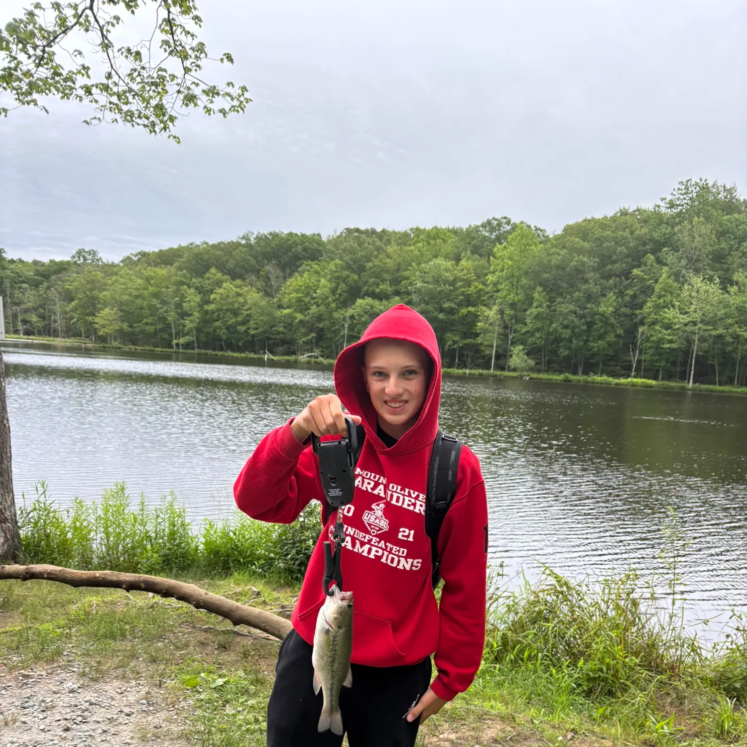 Largemouth bass caught on Fishbrain