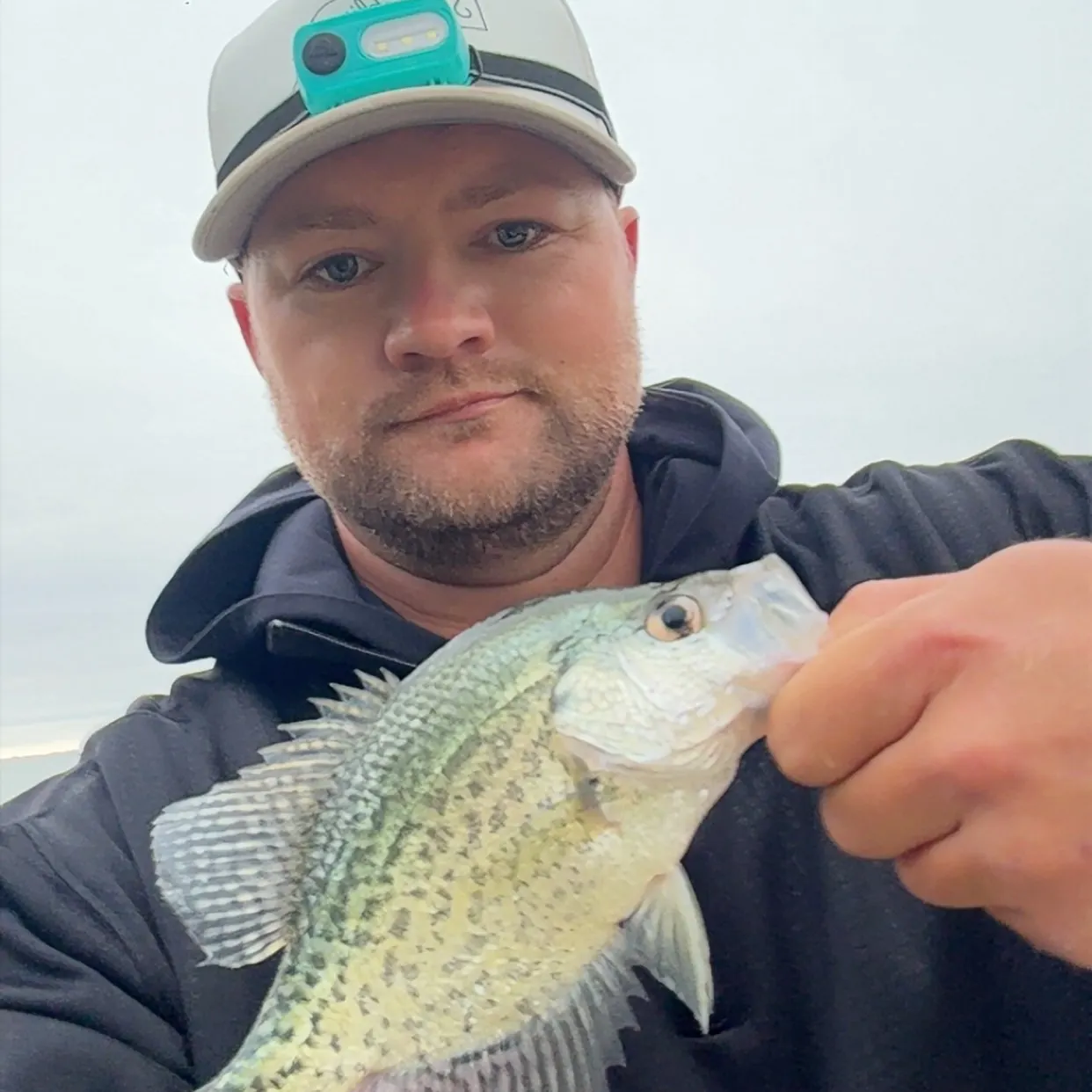 Black crappie caught on Fishbrain