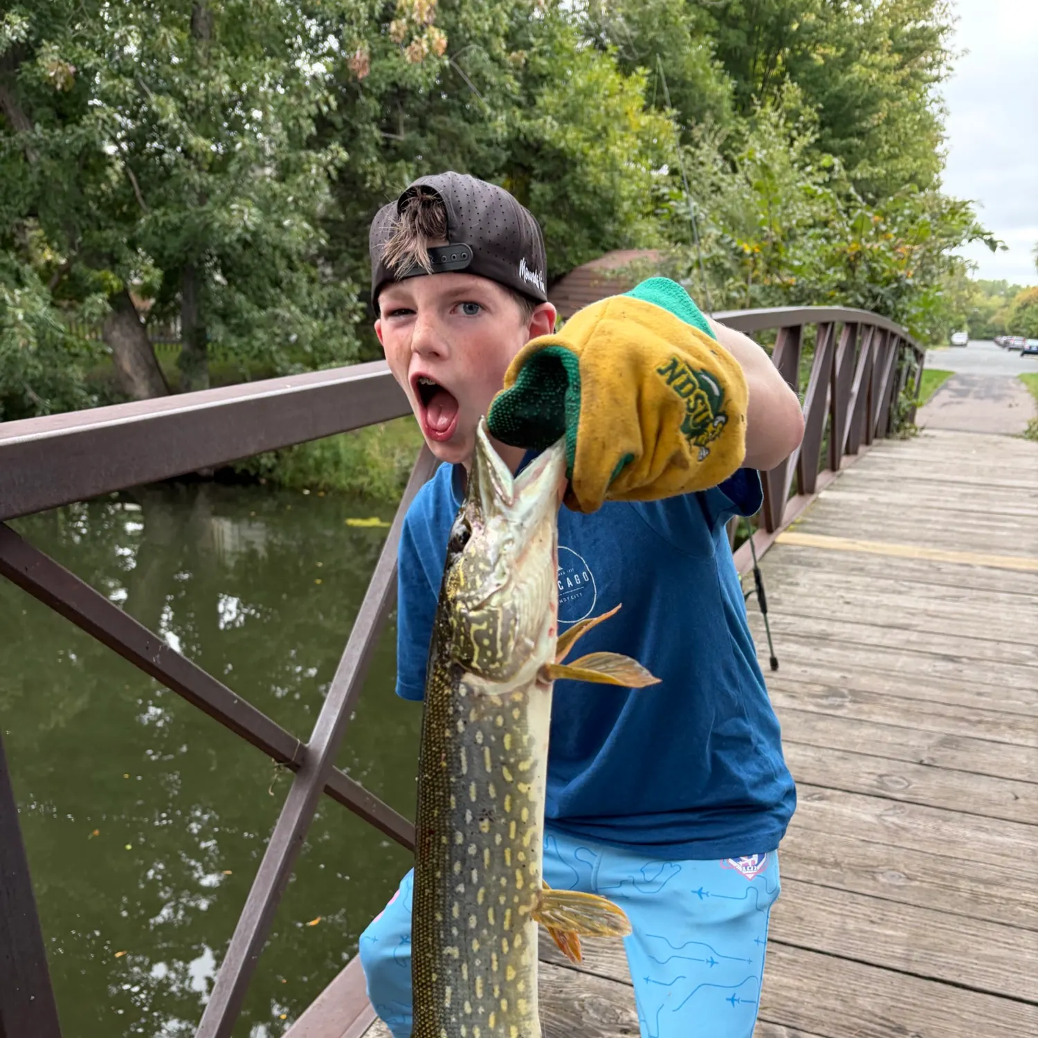 Northern pike caught on Fishbrain