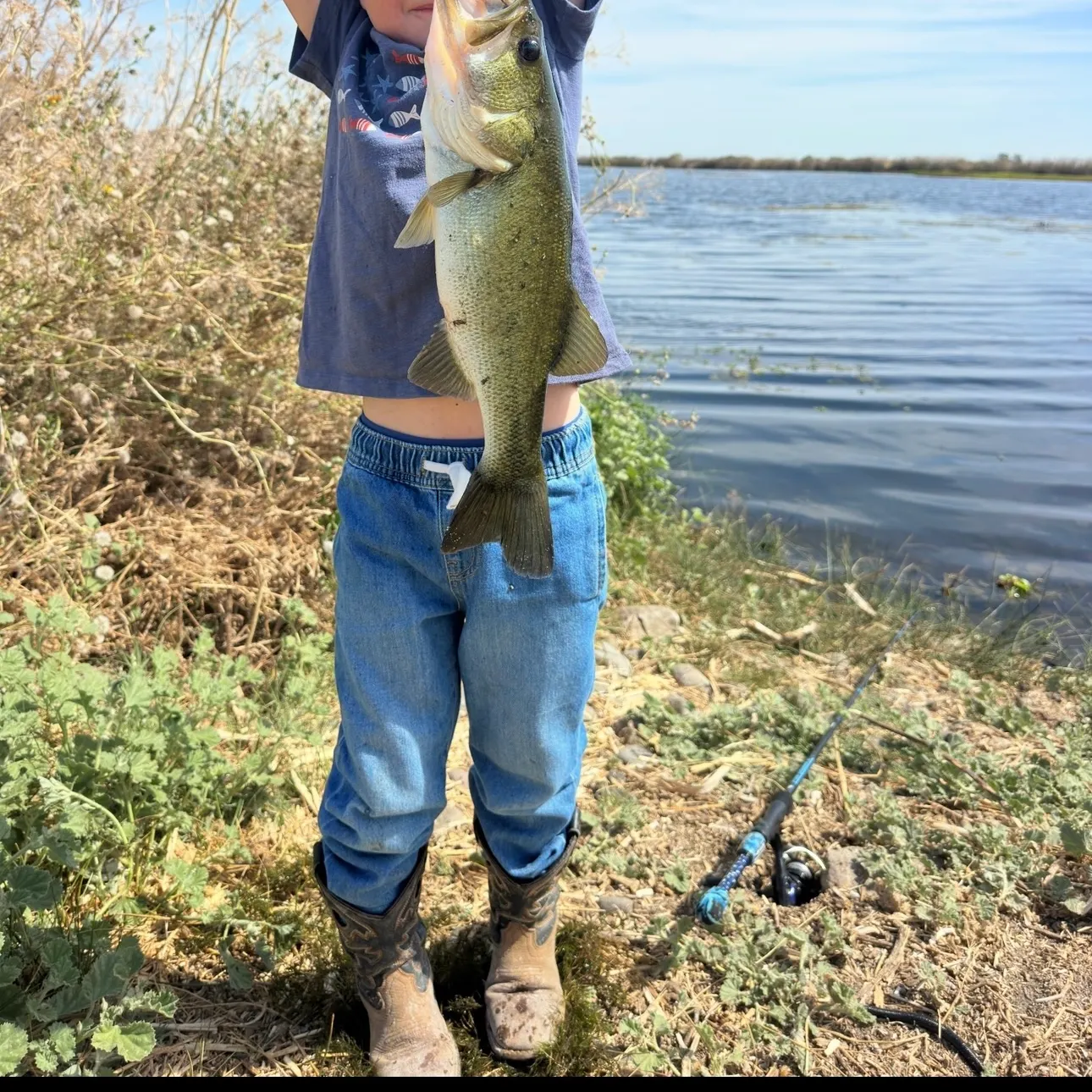 Largemouth bass caught on Fishbrain