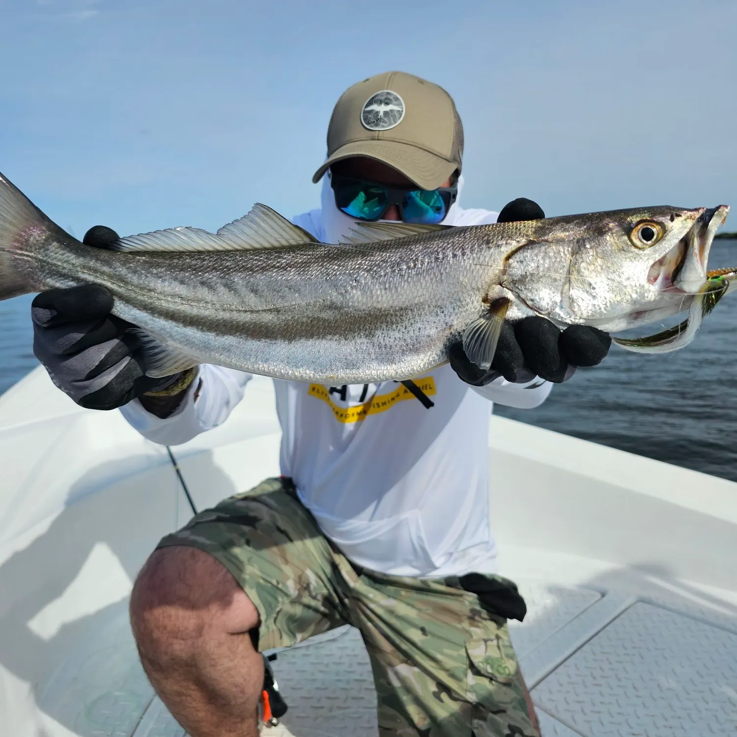 The most recent Shortfin corvina catches on Fishbrain