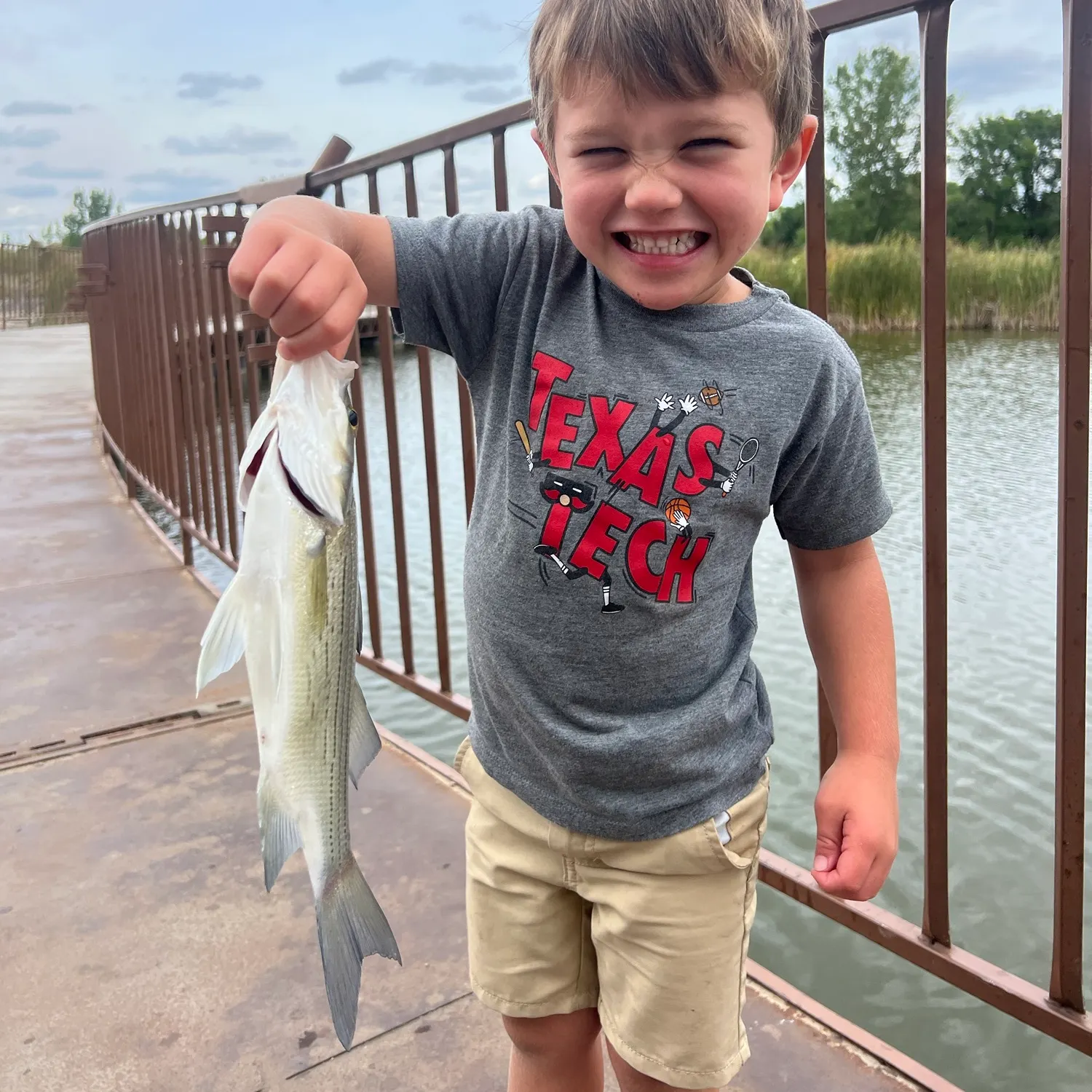 White bass caught on Fishbrain