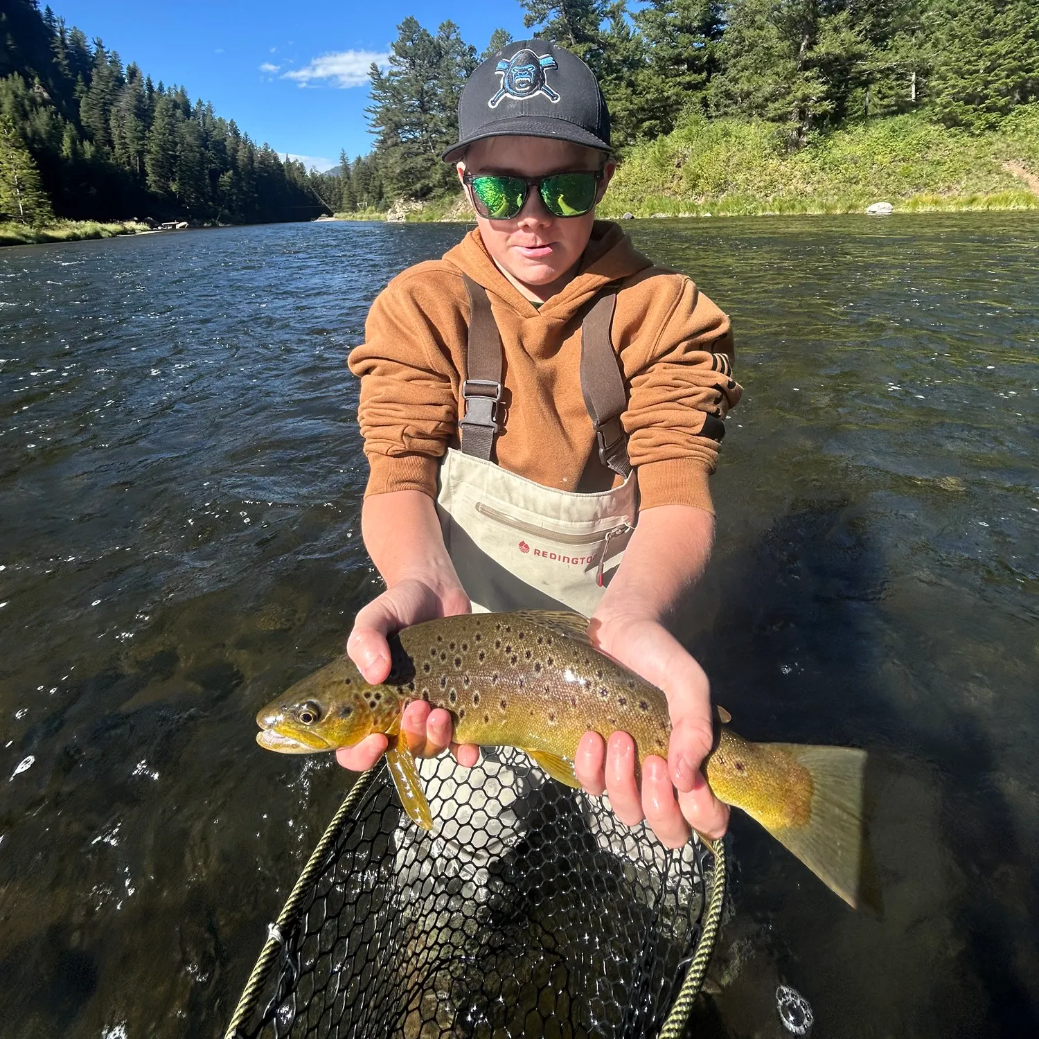 Brown trout caught on Fishbrain