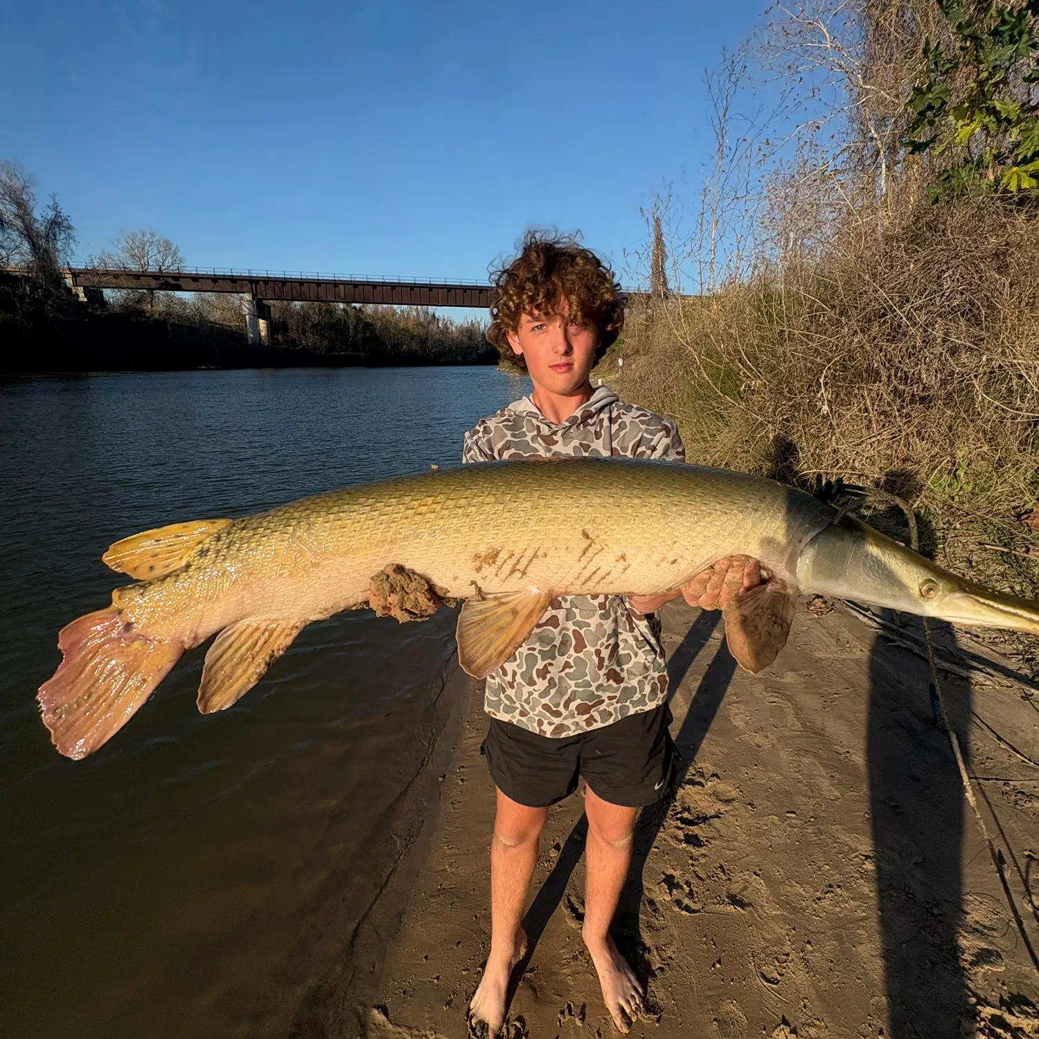 The most recent Alligator gar catches on Fishbrain