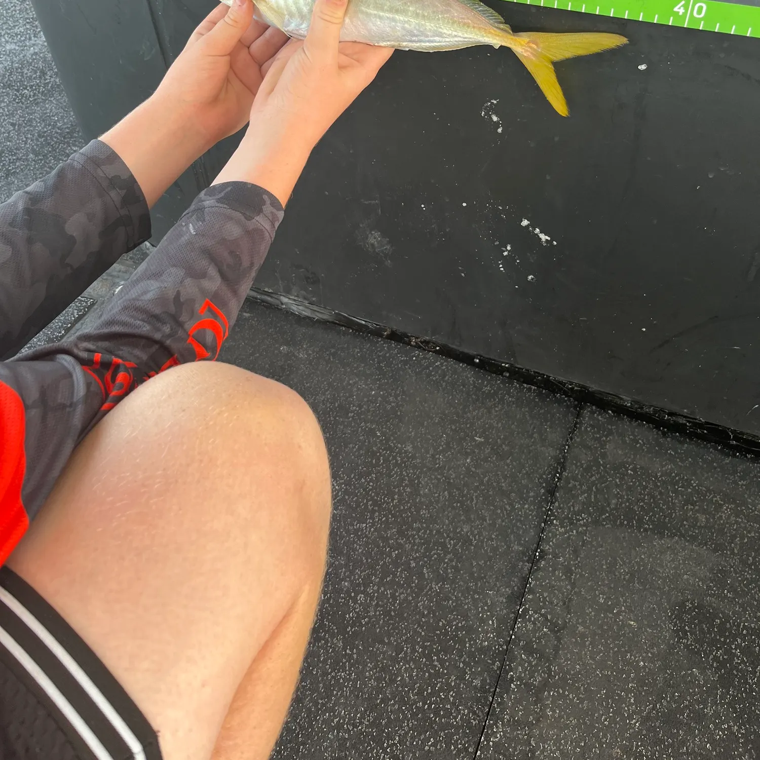 The most recent Yellowtail scad catches on Fishbrain