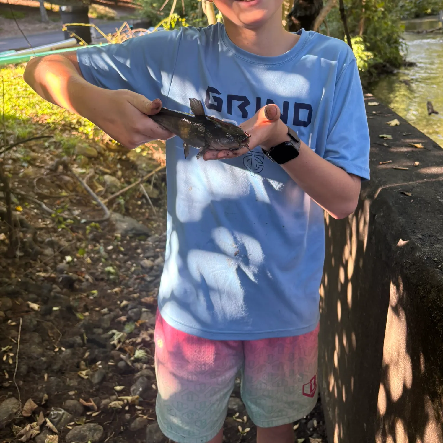 Channel catfish caught on Fishbrain