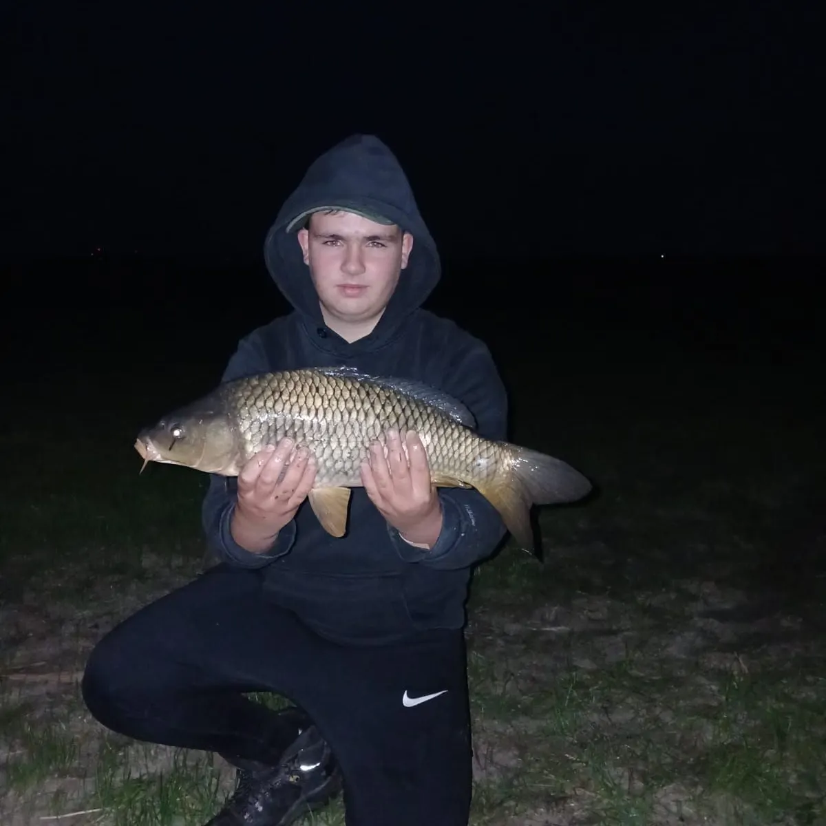 Common carp caught on Fishbrain