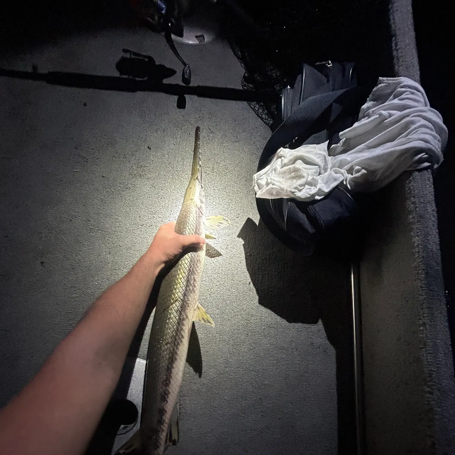 The most recent Longnose gar catches on Fishbrain