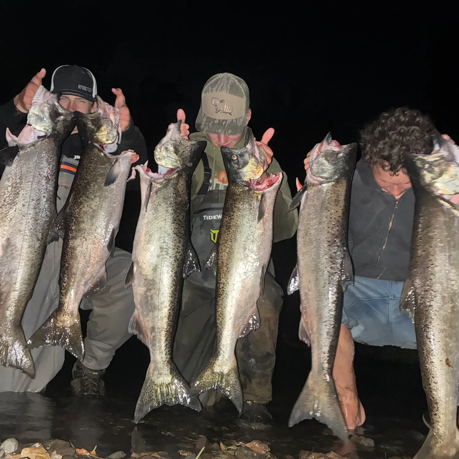 Chinook salmon caught on Fishbrain