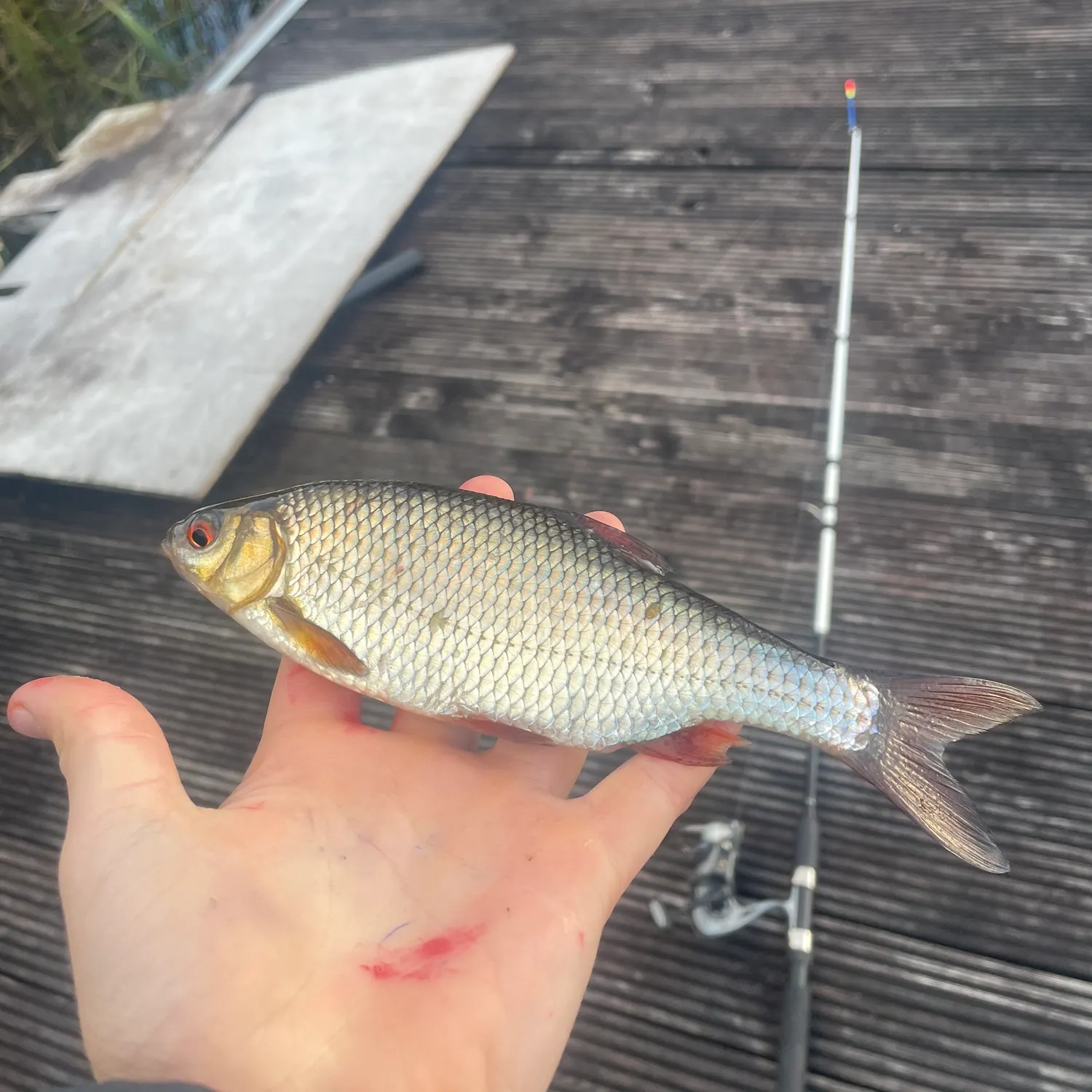 catch