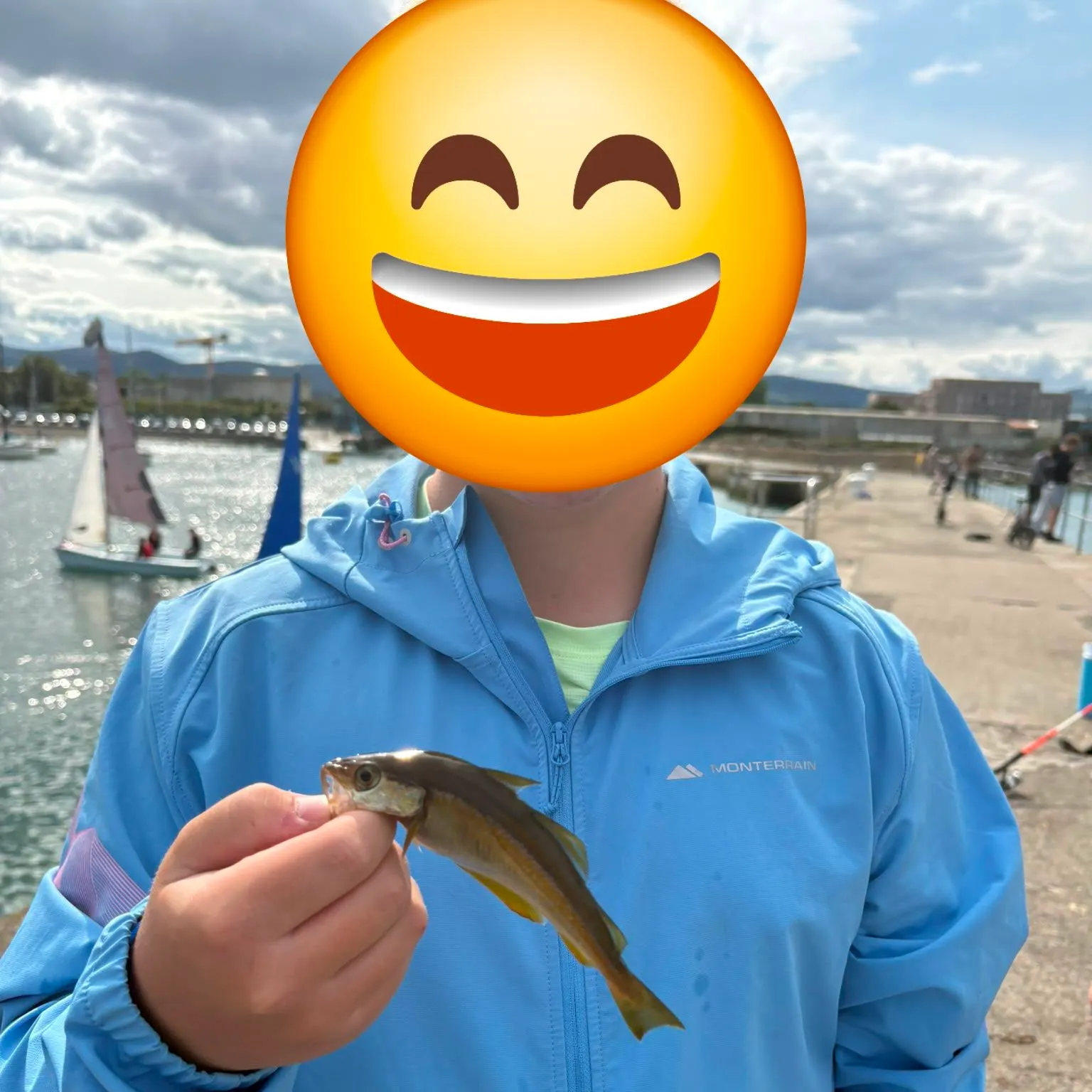 The most recent Atlantic pollock catches on Fishbrain
