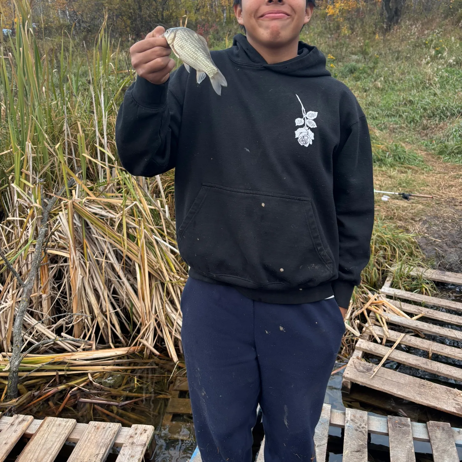 Prussian carp caught on Fishbrain