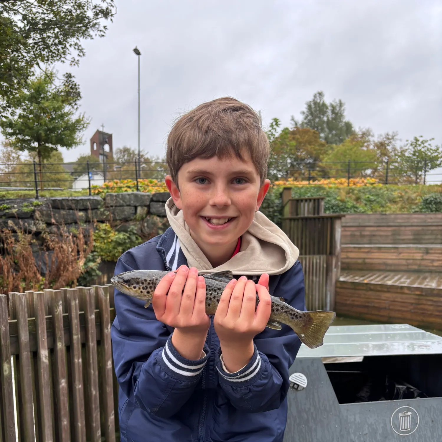 Brown trout caught on Fishbrain
