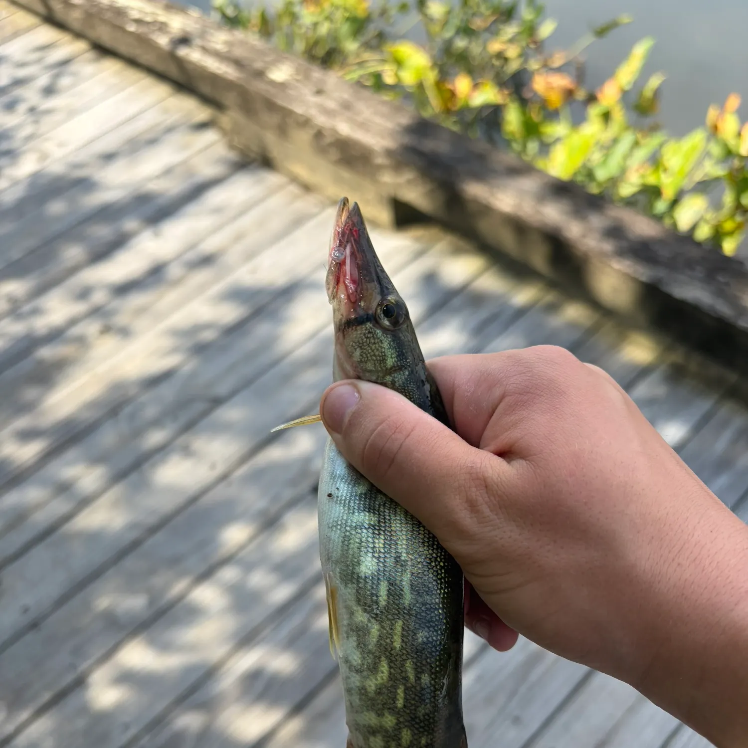 catch