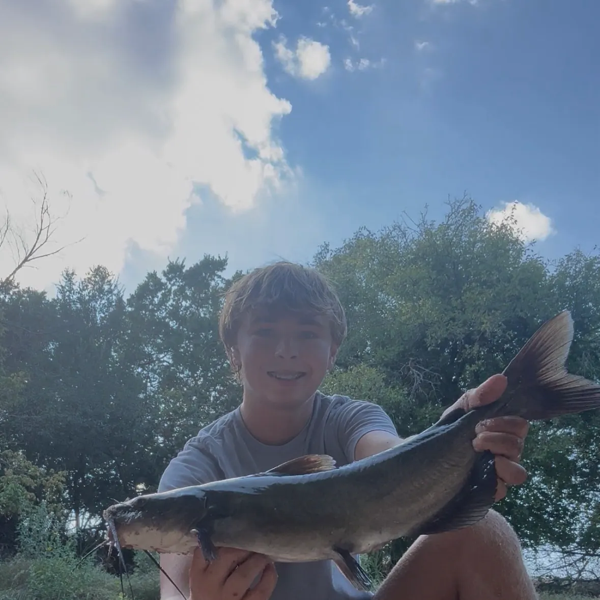 Channel catfish caught on Fishbrain