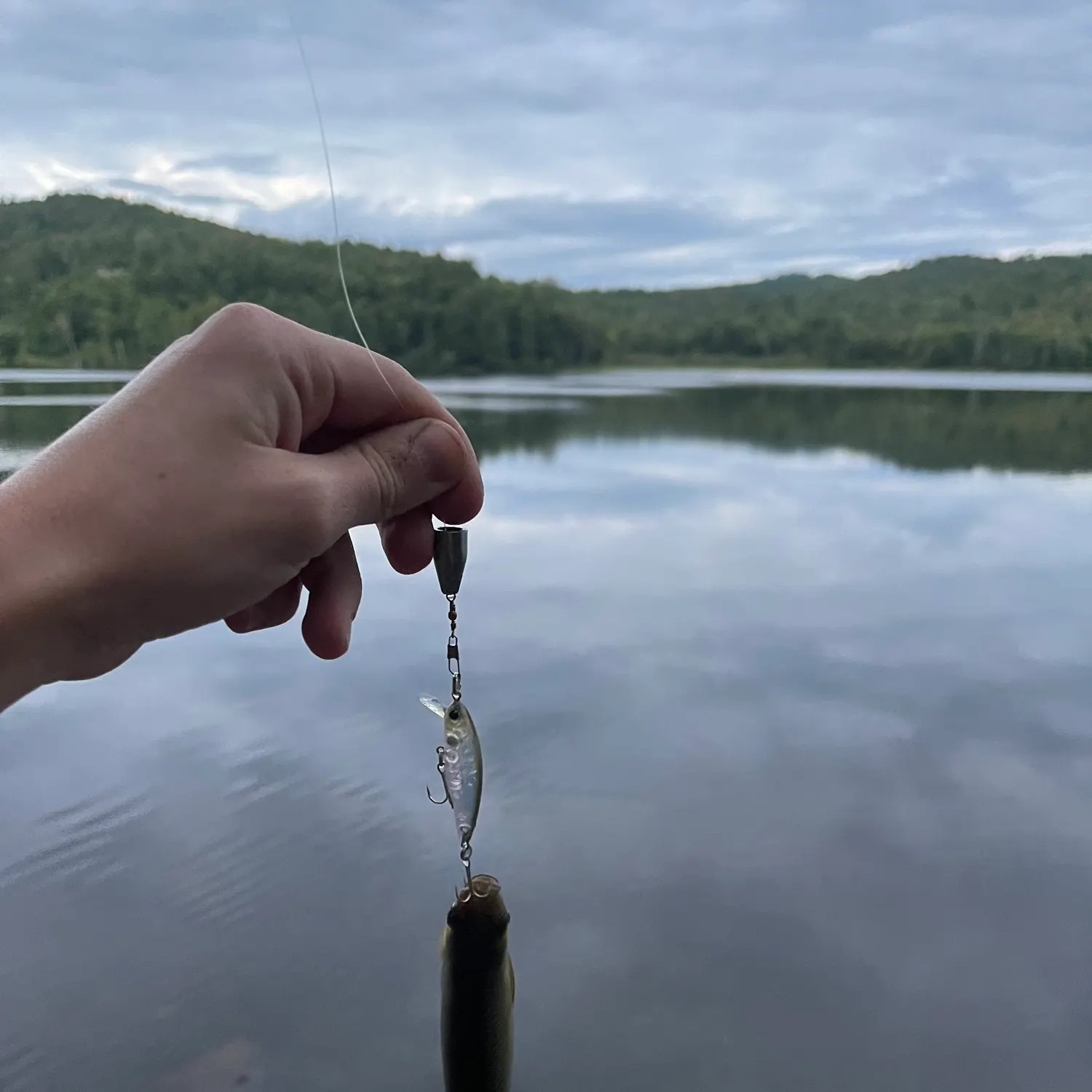 Fish caught on Fishbrain