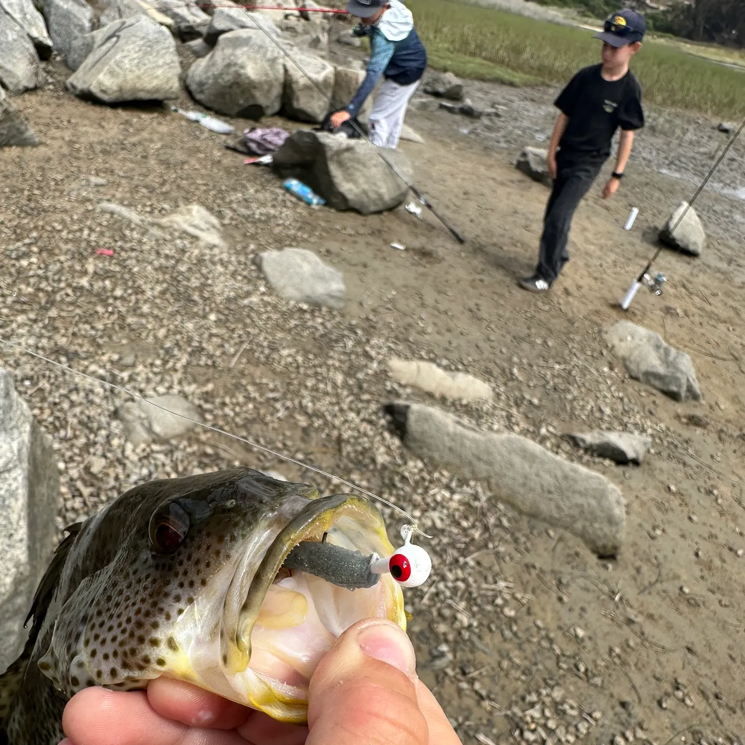 catch