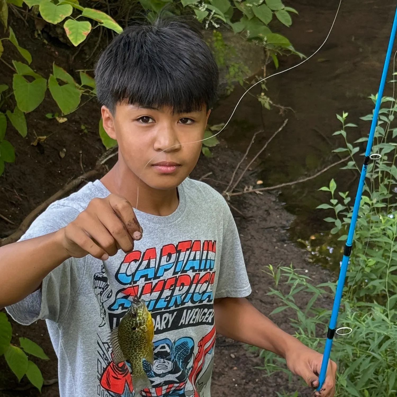 The most recent Pumpkinseed catches on Fishbrain