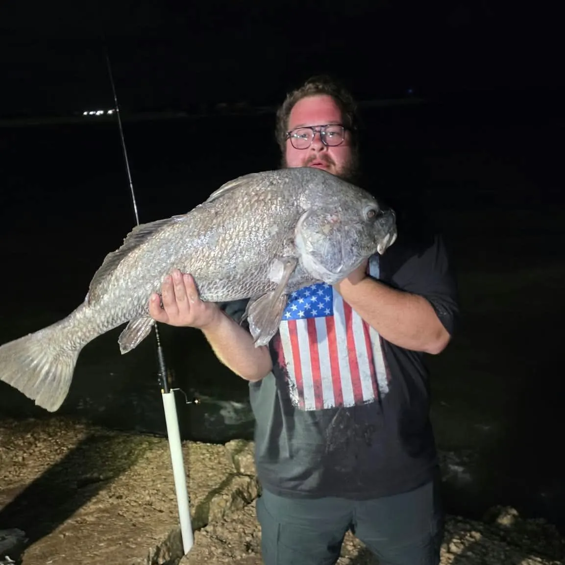 Black drum caught on Fishbrain