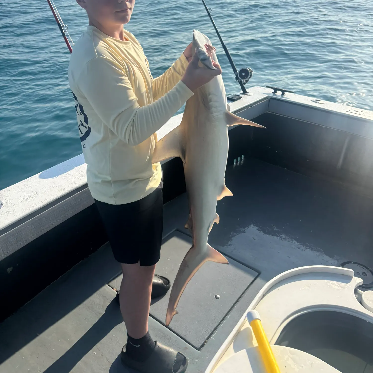 most liked catch image