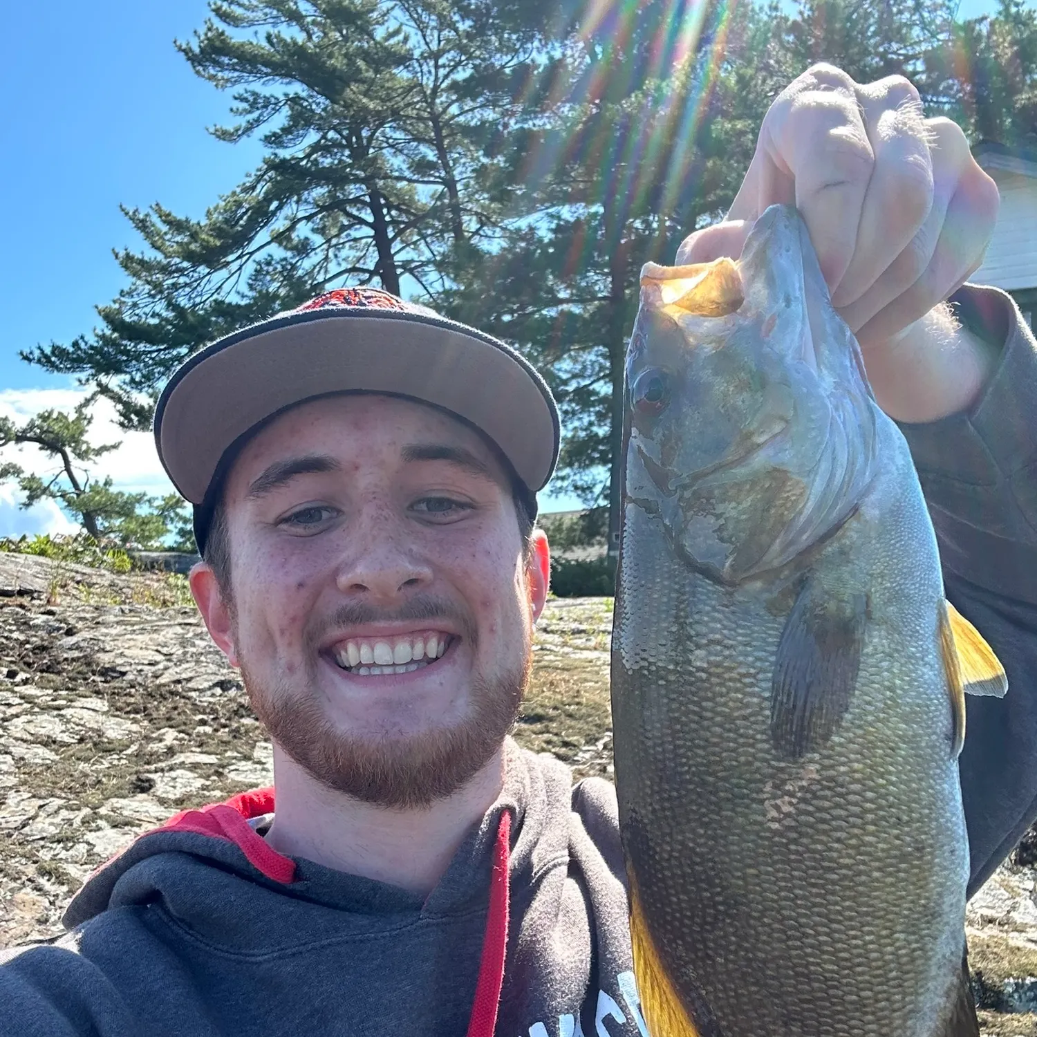 The most recent Smallmouth bass catches on Fishbrain