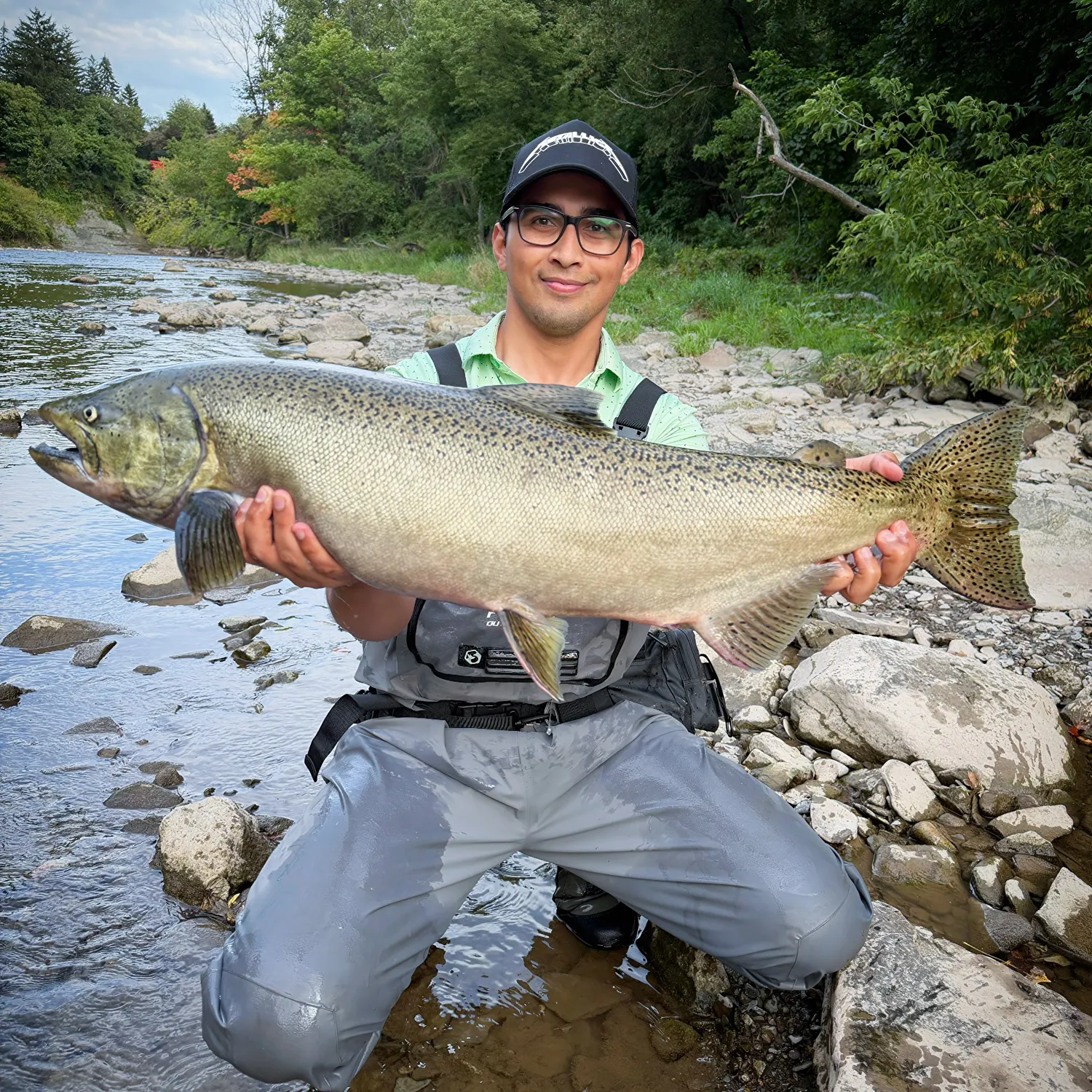 The most recent Chinook salmon catches on Fishbrain