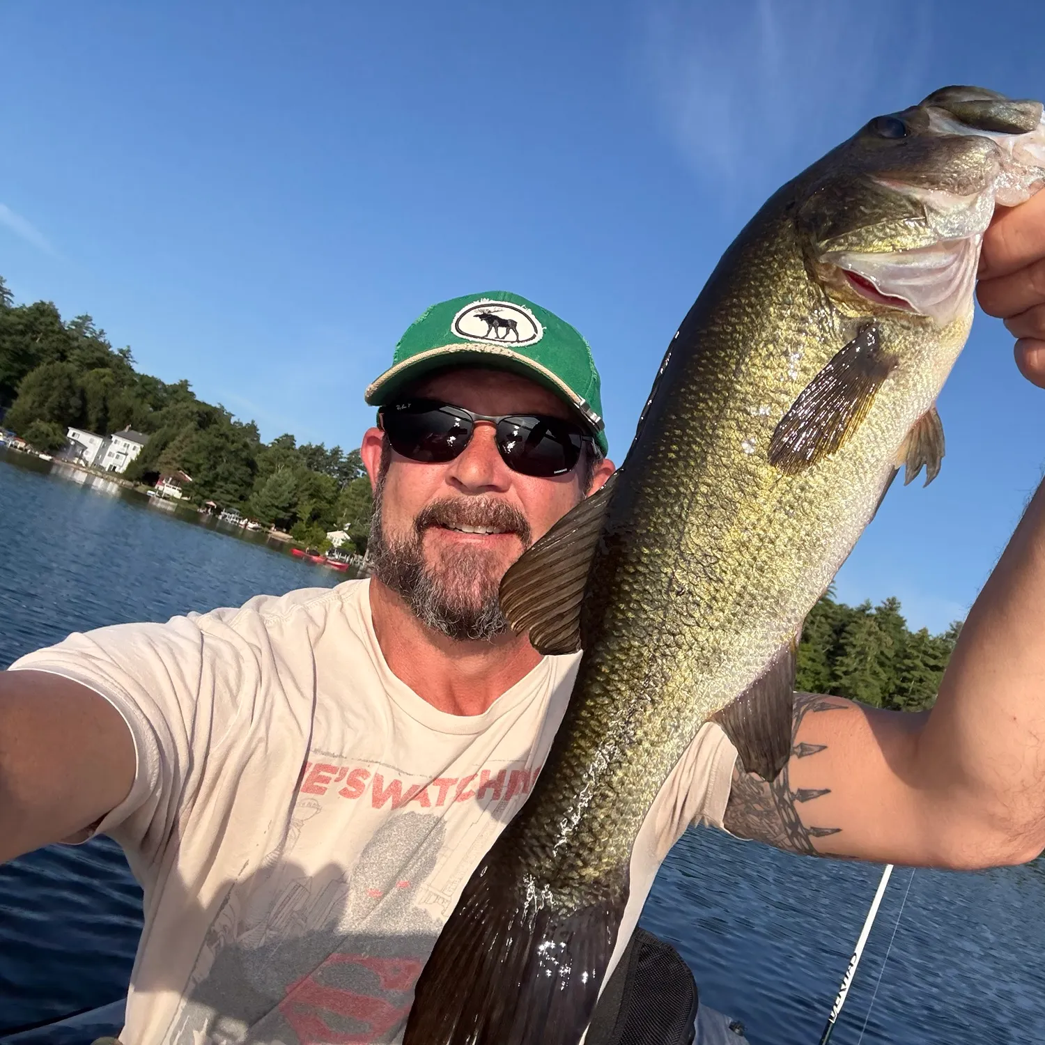 Largemouth bass caught on Fishbrain