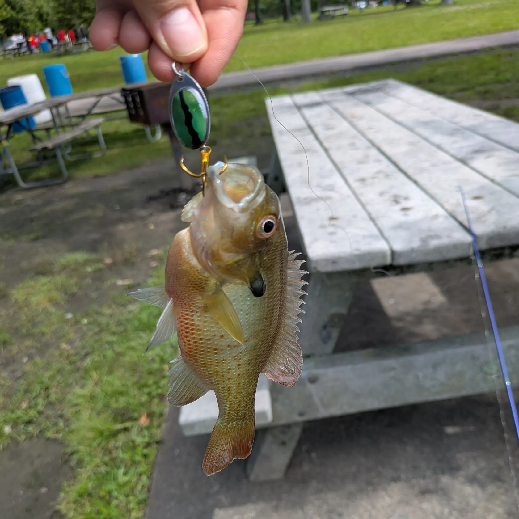 catch